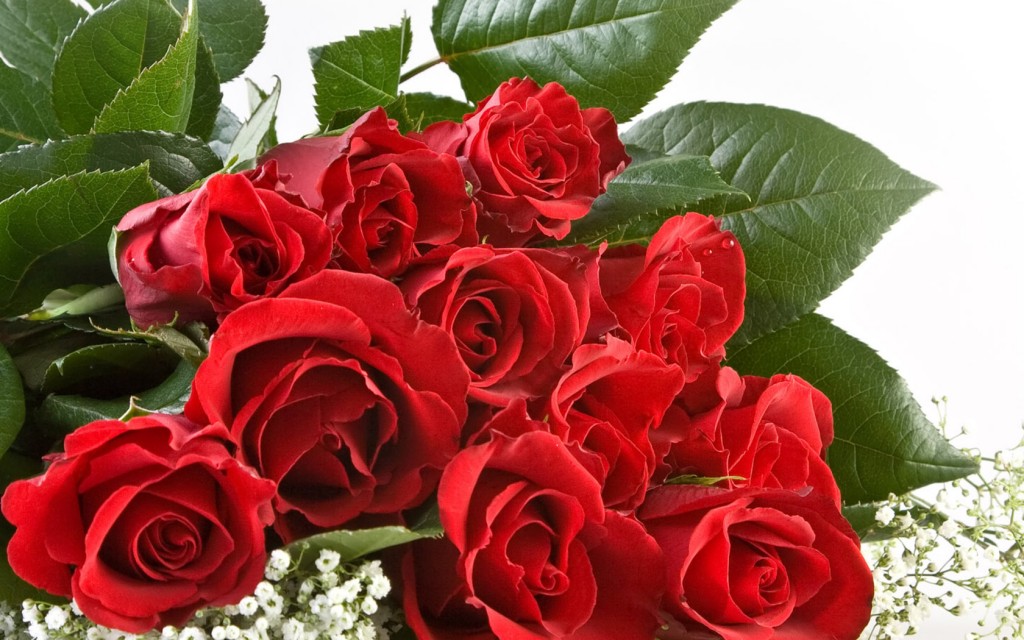 roses