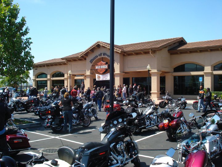 bikes at HOT Harley's at House of Thunder in Morgan Hill