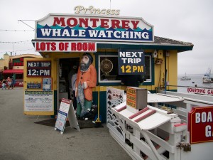 100_0318 Princess Monterey Whale Watching, Old Fisherman's Wharf, Monterey California