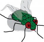 fly zombie Zombie Fly Returns