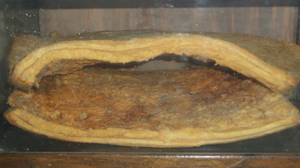 Bacon - from 1945 66 year old bacon at the Hurricane Valley Heritage Museum