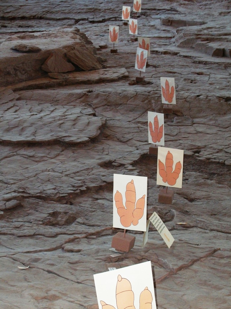 Dinosaur Tracks Paper dinosaur tracks.