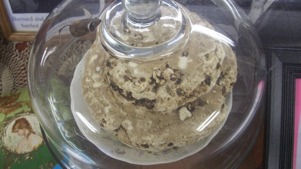 Fruitcake - from 1907 100 year-old fruitcake at Hurricane Valley Heritage Museum