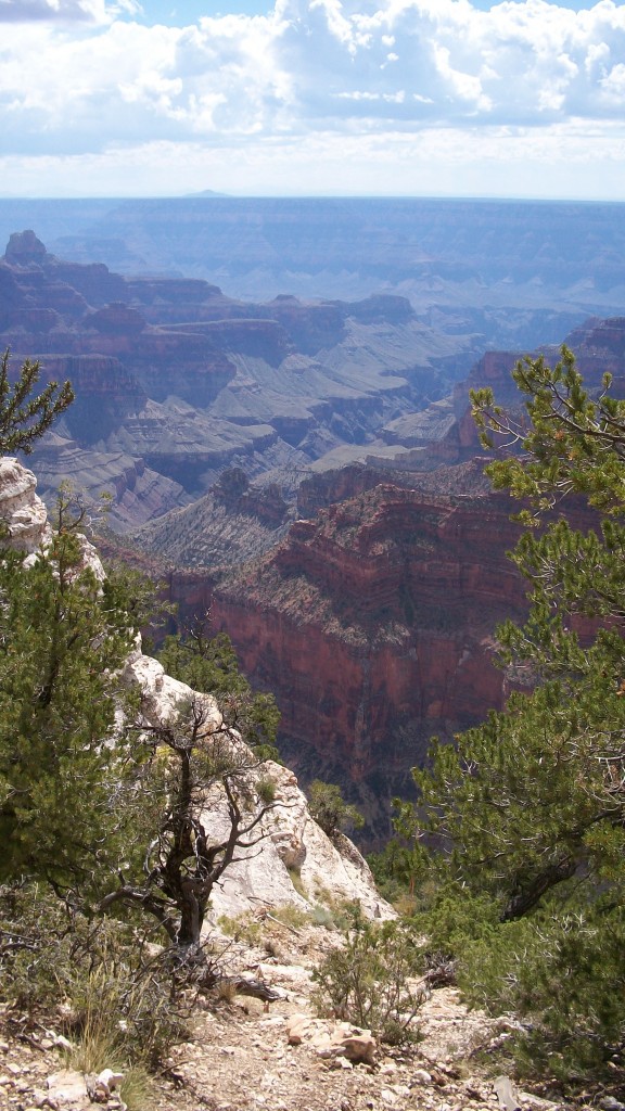 North Rim of the Grand Canyon