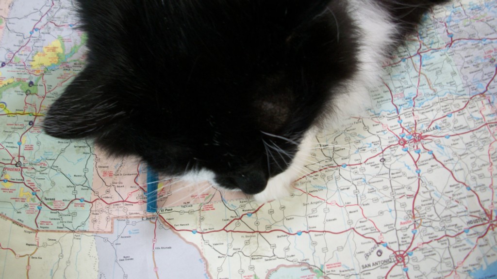 100_1078 Checkers sleeping on a map.