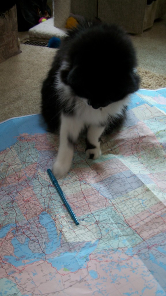 100_1088 Checkers sitting on a map, playing with a pen.