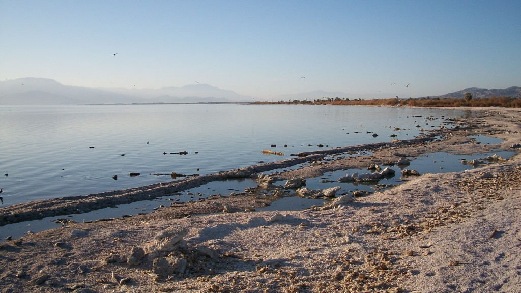 Salton Sea Beach