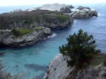 Point Lobos, near Carmel