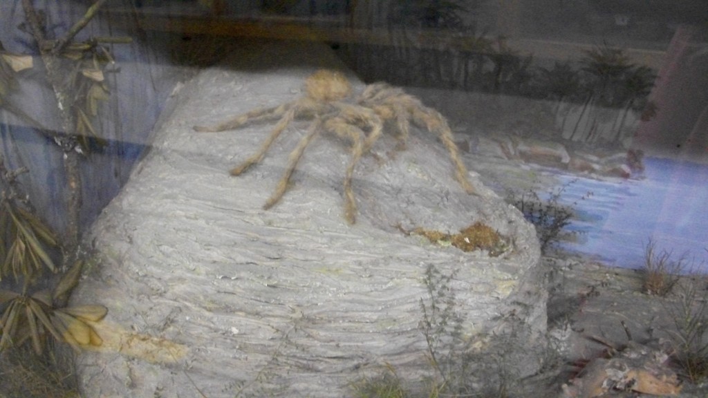 Zombie Tarantulas.