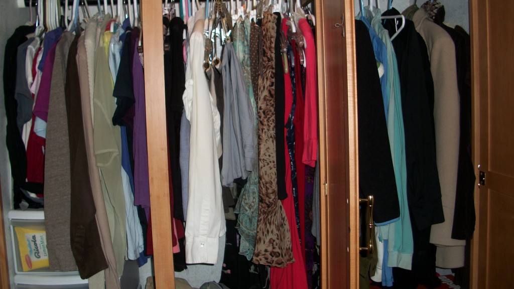A closet full of clothes and skeletons. 