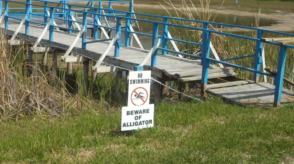 Beware of the alligator. And the dock. 