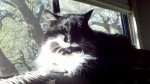 I may look pissed, but I just don't like having my picture taken.