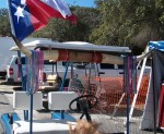 Longhorns on a golf cart. Not rare in these here parts.