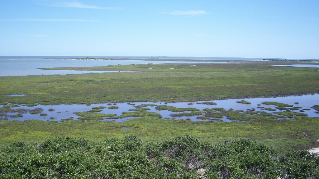 Aransas National Wildlife Refuge