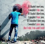 If I hadn't met you, I wouldn't like you