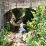 Creek at Zelder Mill