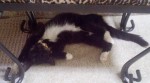 And this is what she does all day. I just wish she would to it at night so I could sleep.
