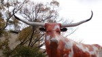 The "World's Largest Longhorn"?