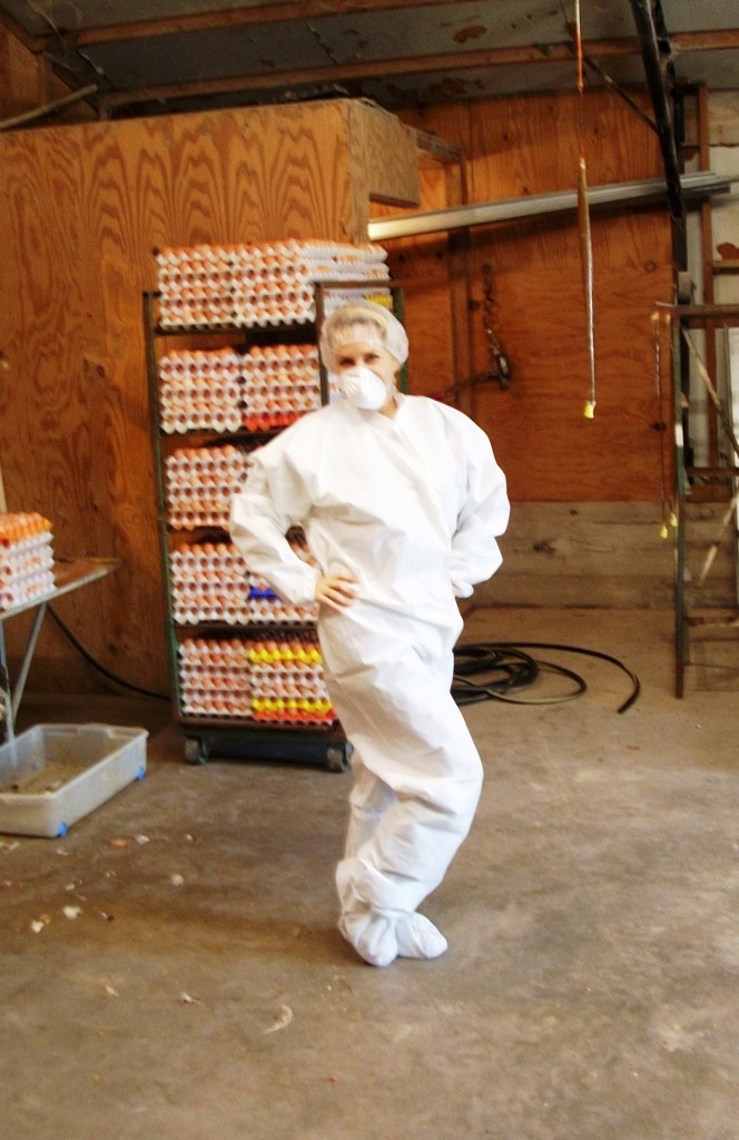 Ready for the chicken house... or food service.