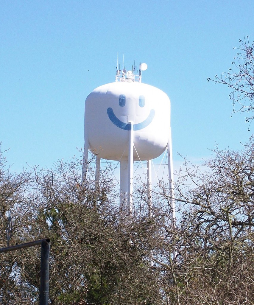 It's a smiley marshmallow. (This one kind of reminds me of a Stay Puft marshmallow.)