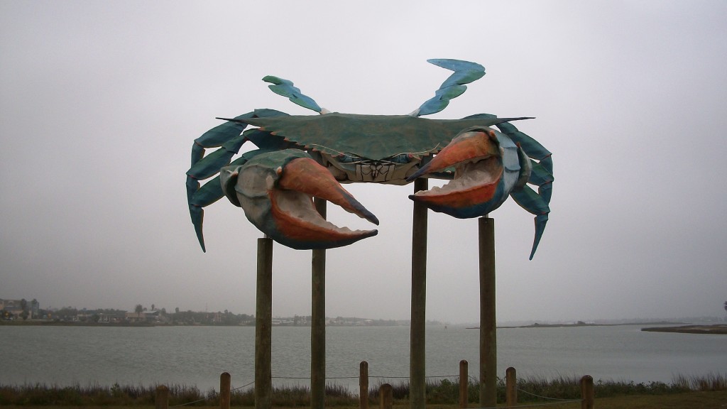 World's Largest Blue Crab in Rockport, Texas | Kernut the Blond